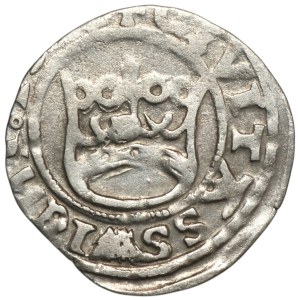 Silesia, Louis Jagiellonian, Half-penny 152(?), Swidnica