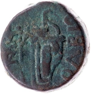 Greece, Æ Tetrahalk 310-280 BC, Olbia (Moesia)