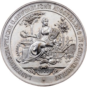 Franz Joseph I., Medal 1905, Vienna