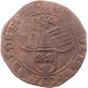 George of Austria, Brûlé of 4 Sols 1546, Liège