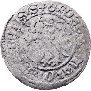 Margravate of Meissen, 1 Schildgroschen ND (1431-1436), Freiberg