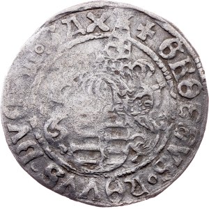 Saxony, 1 Zinsgroschen ND (1507-1525), Buchholz
