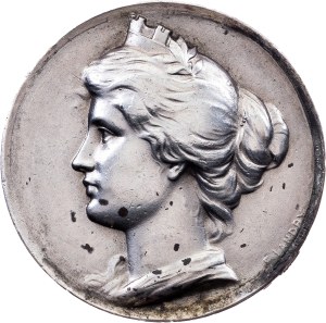 Switzerland, Medal 1898
