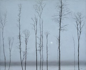 Rafal Borcz (born 1973), Olchy, 2012