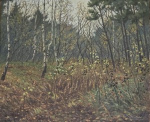 Fritz Wildhagen (1878-1956), Brzezina