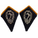 PSZnZ, a set of tabs of a soldier of the 3rd Kresy Rifle Division