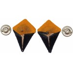 PSZnZ, a set of tabs of a soldier of the 3rd Kresy Rifle Division