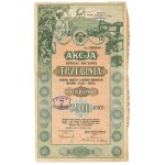 Second Republic of Poland, Trzebinia Joint Stock Company in Krakow, Stock 200 crowns 1920