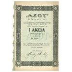 II RP, Azot Joint Stock Company, 10 zloty share 1927