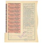 II RP, Polish-American Industrial and Commercial Society, Action 2 x 500 mkp 1921