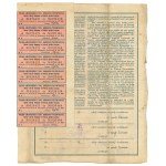 II Republic of Poland, Polish American Industrial and Commercial Society, Action 20 x 500 mkp 1921