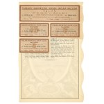 II RP, Pocisk Ammunition Works, 100 x 100 gold action 1930