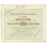 Second Republic of Poland, Joint Stock Company of District Power Plants, Stock 200 crowns 1919