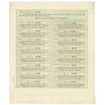 Second Republic of Poland, Joint Stock Company of District Power Plants, Stock 200 crowns 1919