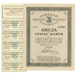 II RP, Eskulap Bydgoszcz Chemical Factory, Share 1,000 marks 1921