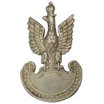 Poland, Eagle wz.1936 airborne