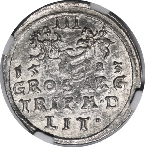 Stefan Batory, Troyak 1583, Vilnius