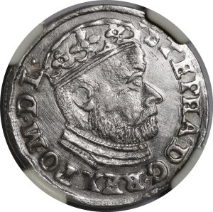 Stefan Batory, Trojak 1586, Olkusz