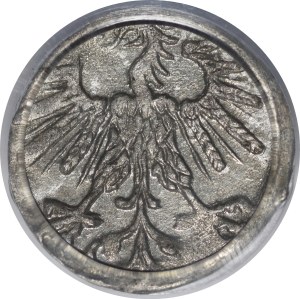 Sigismund II Augustus, Denarius 1563, Vilnius - tail raised - rare