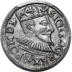 Sigismund III Vasa, Trojak without date, Wschowa - Lewart on obverse and reverse - very rare.