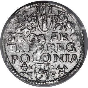 Sigismund III Vasa, Trojak without date, Wschowa - Lewart on obverse and reverse - very rare.