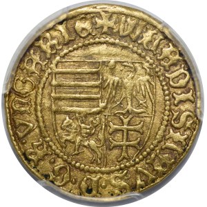 Władysław III Warneńczyk, Goldgulden bez daty (1443), Sybin