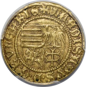Ladislaus III Varna, Goldgulden without date (1443), Sibiu