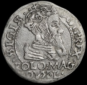 Sigismund II Augustus, Grosz per Polish foot 1566, Tykocin