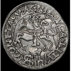 Zygmunt II August, Grosz na stopę polską 1566, Tykocin