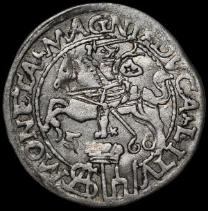 Sigismund II Augustus, Grosz per Polish foot 1566, Tykocin