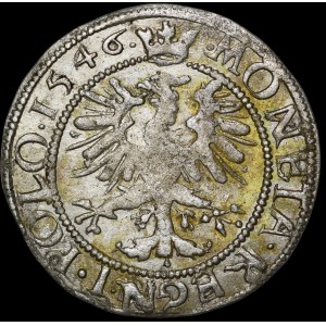Zygmunt I Stary, Grosz 1546, Kraków - S-T - aniołki - ilustrowany i b. rzadki