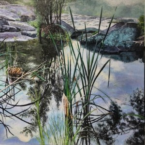 Agnieszka FORNAL (born 1977), Mongaup Valley, 2025
