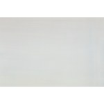 Pola Yankee (ur. 1987, Golub Dobrzyń), Simplicity, 2025