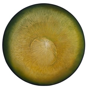 Martyna Łuszczyńska (ur. 1997, Łódź), Rhythms - lively green, 2025