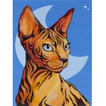 查看相似的