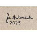 Joanna Bojar-Antoniuk (ur. 1967), Ornakot WTR.2 z cyklu Art DeKot, 2025