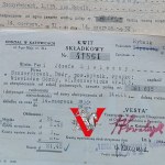 Szczerbice Dwór, Rybnik, Katowice, Niewiadów, lata 30, Vesta Ubezpieczenia, Józef Zielezny