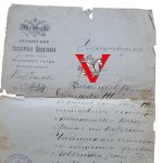 Wilno 1911, Dokument Tożsamości Chłopa z Gubernii Wileńskiej, CIEKAWOSTKA