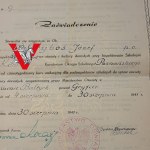 Zaświadczenie Ministerstwa Oświaty - Gryfice 1947 r. - nauczyciel / inspektor szkolny, Konin