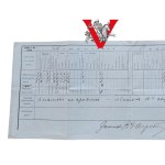 Wilno 1913, Świadectwo z Męskiego Gminazjum , Polak Andrzej Tomaszewicz