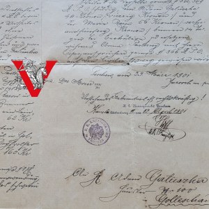 Imperial court document K.K. Kreisgericht Teschen - Cieszyn 1901, case of Jan Czepia from Goleszow