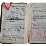 Dowód Osobisty 1924 r, Administrator Majątku Podczachy,Powiat Krośniewice, Powiat Kutno, P, Tadeusz Binder.