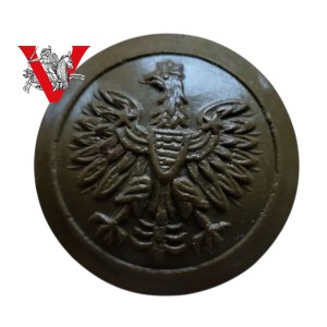PSZ, Air Force England, Large Uniform Coat Button, Bakielite, Beautiful Condition