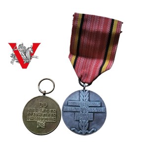 Medals, For Warsaw and For Participation in the Battles for Berlin, WWII
