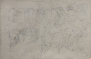 Piotr MICHAŁOWSKI (1800-1855), Studies of the gray horse / sketches of oxen and cows