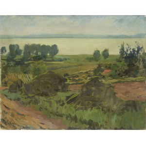 Zygmunt SCHRETER (SZRETER) (1886-1977), Pejzaż z łąkami