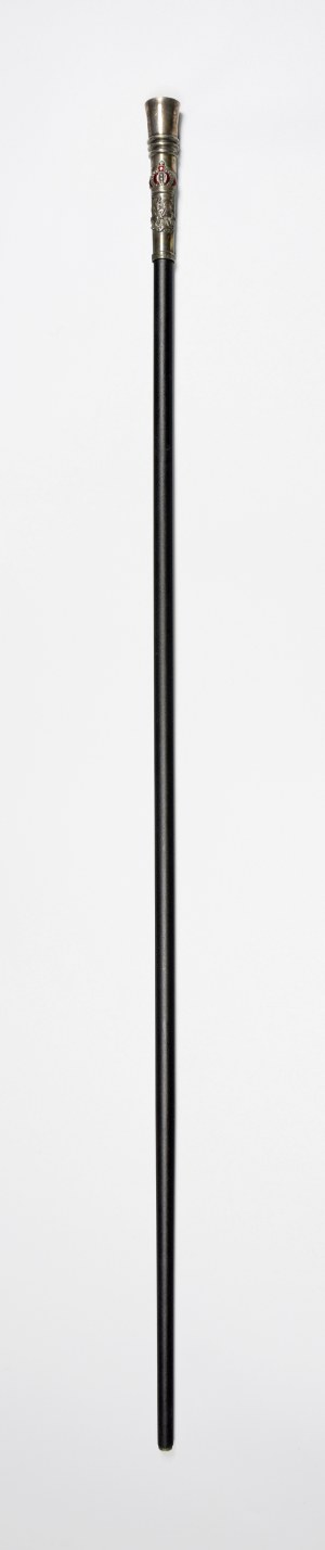 Walking stick