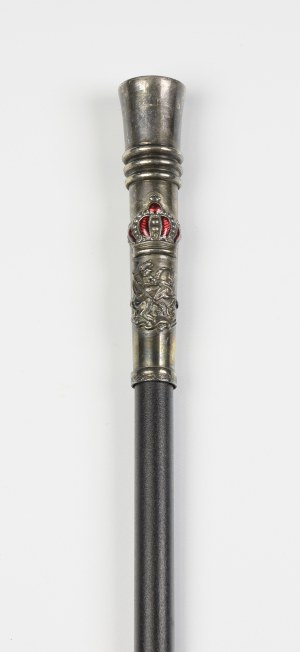 Walking stick