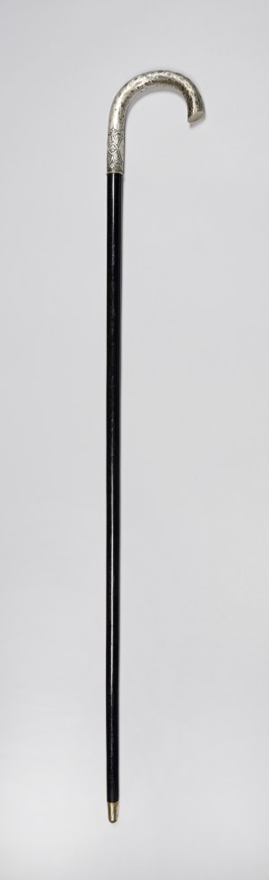 Walking stick
