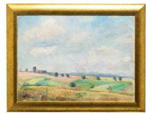 Wojciech Weiss (1875 Leorda na Bukowinie - 1950 Krakow), Landscape